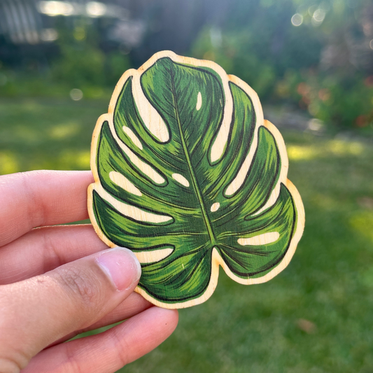 Monstera Bamboo Sticker